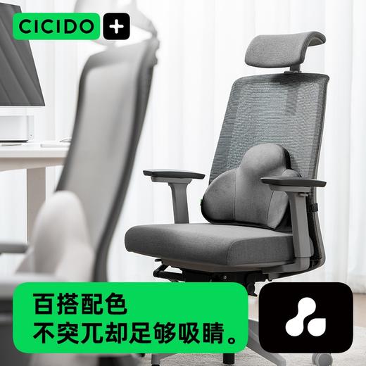 【CICIDO特价家乐福清仓】CICIDO护腰&坐垫【新春好物随行专场】 商品图2