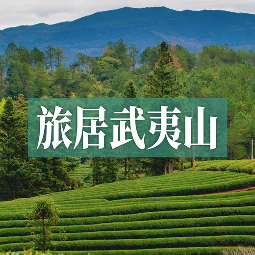 边玩边养老丨旅居武夷山，九曲溪竹筏漂流，登天游峰看云海，住5钻酒店揽山景！ 商品图0