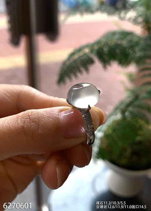 6270601，蛋面戒指。具体价格微信咨询 商品图0