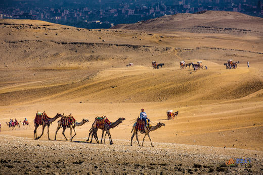 5.16确定出发【埃及】解码干年传奇古国游摄10天<环球寻梦> 商品图8