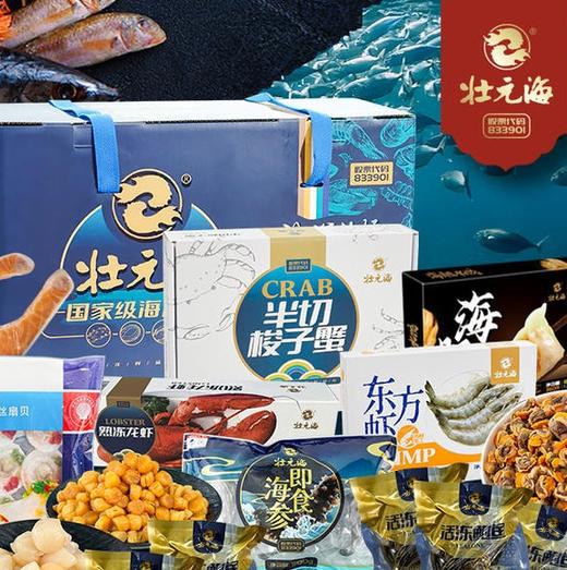 壮元海C4-499海鲜礼盒 商品图0