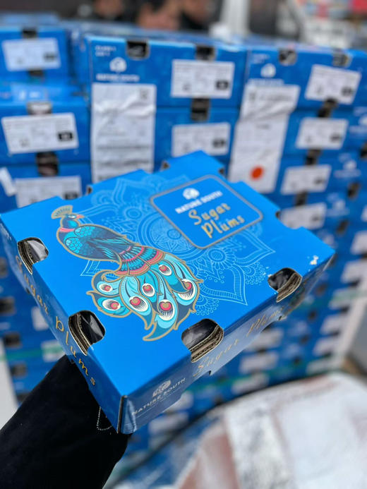 西梅🛫 🛫 〰琥珀色的果肉多汁果肉细腻😍 😍 特别甜的果子，宝宝一天可以来几颗[呲牙]放软蜜甜剥皮做辅食最佳选择！ 商品图6