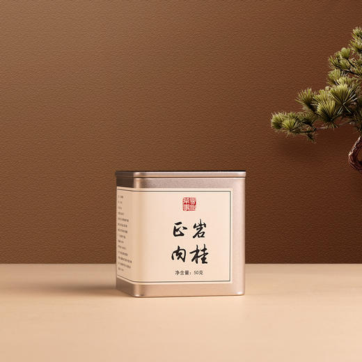入门武夷正岩岩茶（小罐装） 商品图3