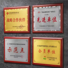 【OUSM】  定制  奖牌40*60