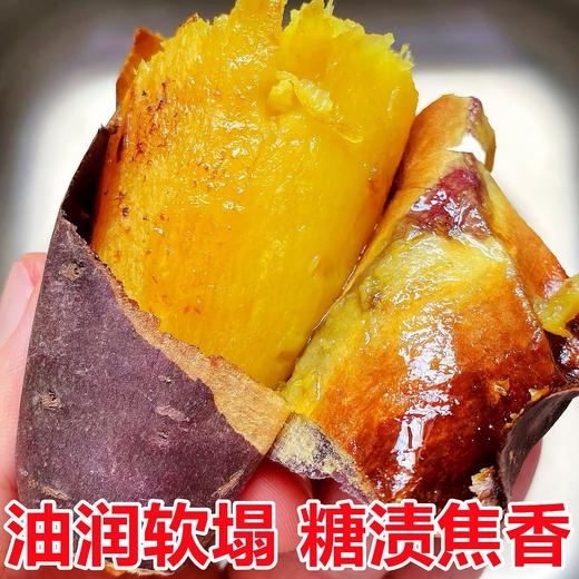 【软糯绵密❗️细腻无丝】云南黄金榴莲蜜薯玛莎莉当季新鲜10斤沙地蜜薯地瓜番薯烤红薯。jc 商品图1
