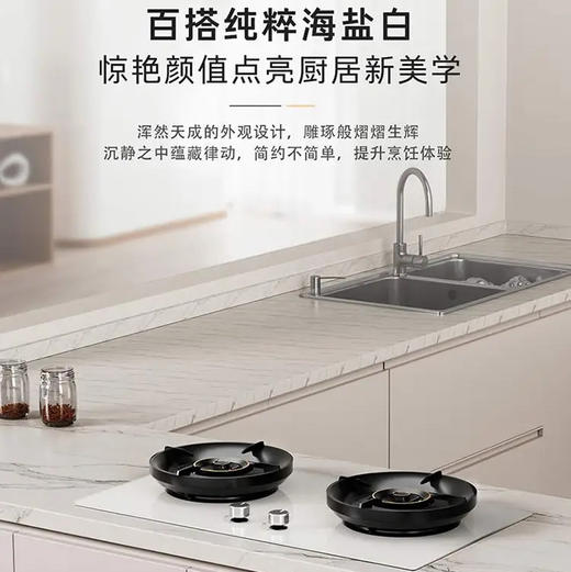 卡萨帝（Casarte）灶具 JZT-CDZ5U9 商品图1