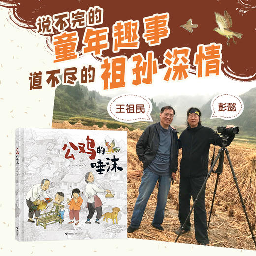 公鸡的唾沫（接力娃娃龙原创图画书系列） 商品图1