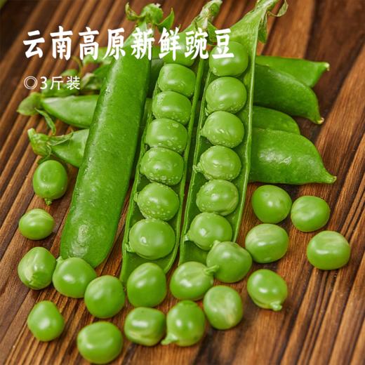 云南高原新鲜豌豆 |  当季青豆角嫩豆 颗粒饱满 一口清甜脆嫩  露天种植 现摘现发  煲汤/炒菜 商品图0
