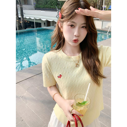 <曾小咸推荐>韩系3色麻花刺绣圆领t恤短袖 商品图0