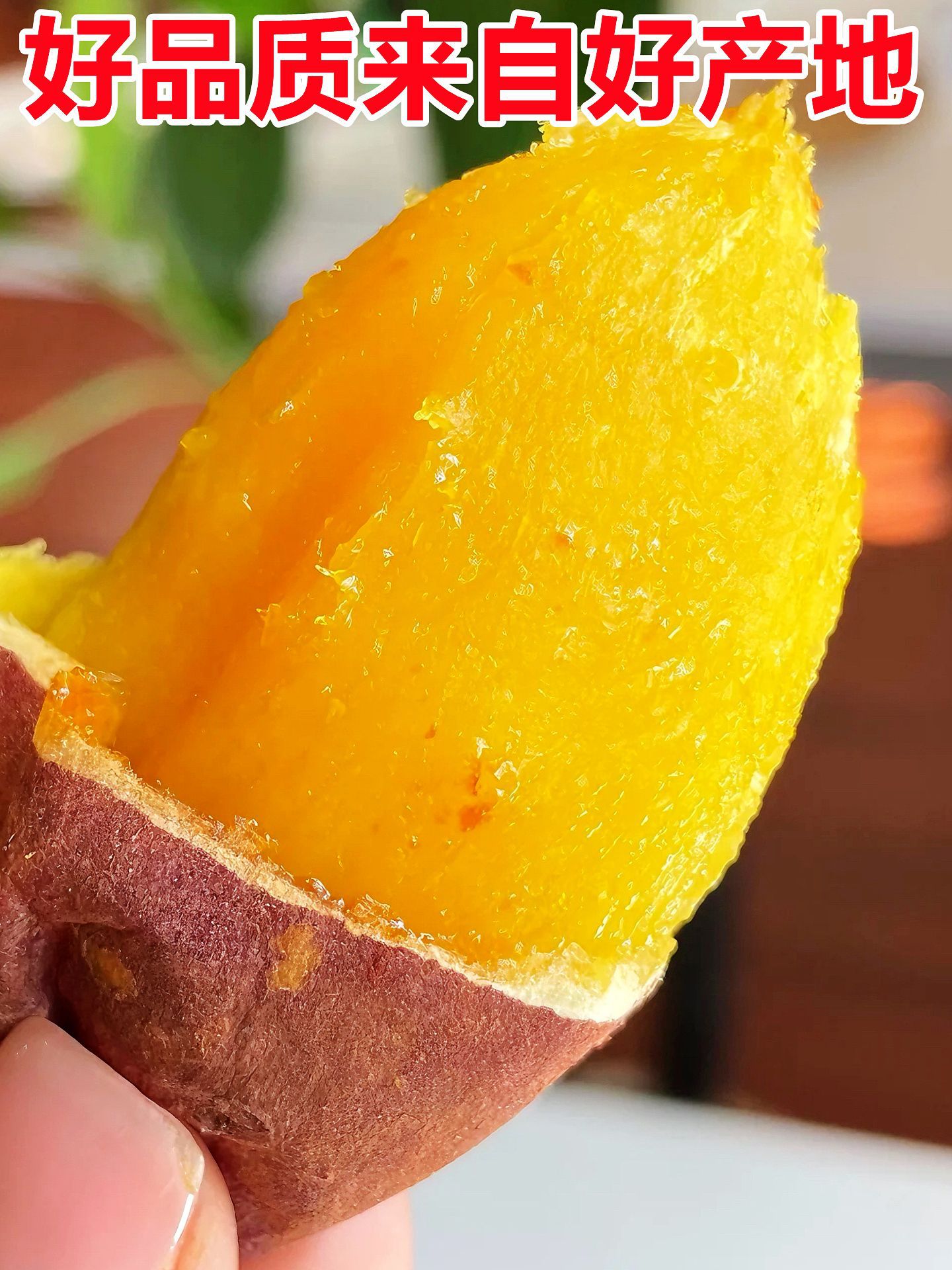 gWyWj/+nzNTvS8WG2Vtfg+P30x79JoIBxLp6