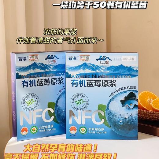 莓淇长白山有机蓝莓原浆30ml*10袋 商品图0