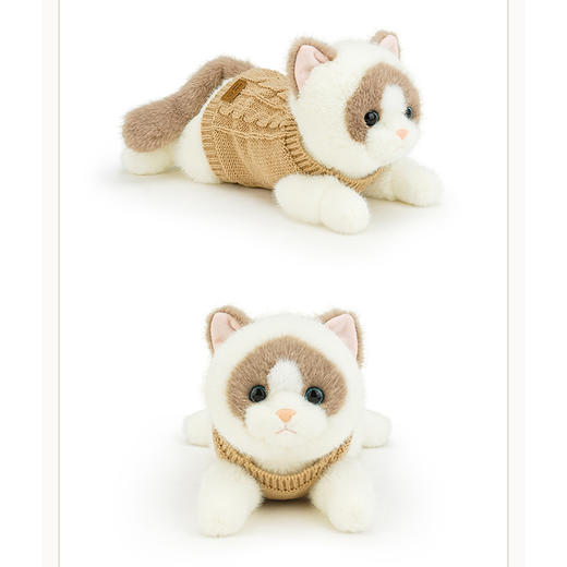 45CM暖暖猫毛绒公仔-纪念日百货门店同款169601881 商品图3