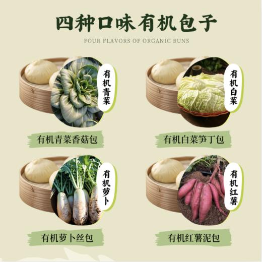 淮扬有机素包子60g*6/袋（有机青菜香菇包、有机萝卜丝包、有机白菜笋丁包、有机红薯泥包） 商品图2