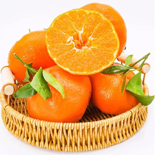 【肉色橙红❗️细腻无渣】四川甘平柑橘皇后小金牛当季摘新鲜水果耙耙柑粑粑。jc 商品图3