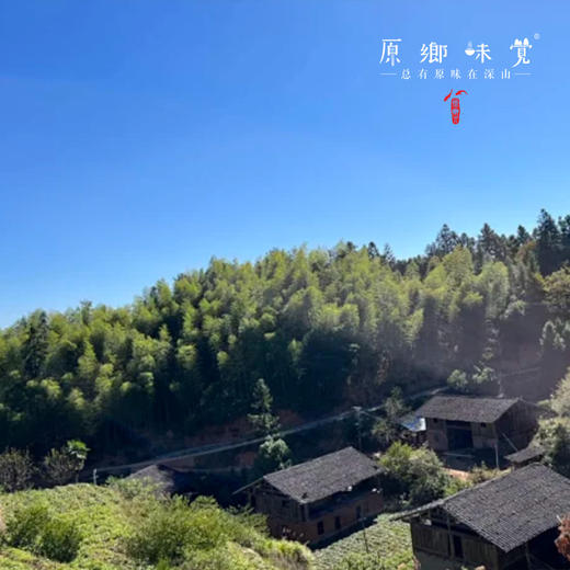 生态红薯干（成都仓库-顺丰快递）| 400g/袋，来自福建南平，生产者：黄璇【合作生产，公平贸易】 商品图3