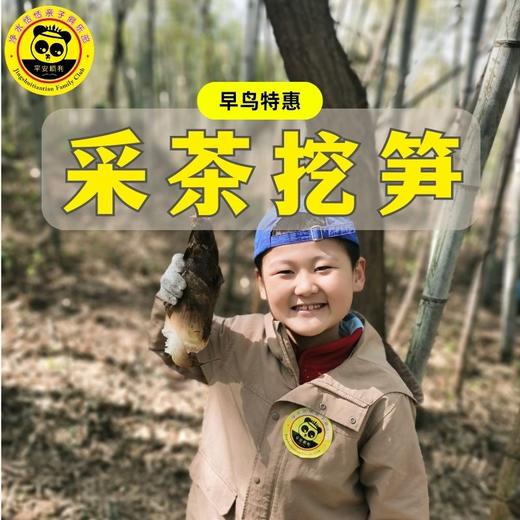 【亲子自驾】小小茶农上春山，亲子户外趣挖笋，特惠好价,仅需99元/组！ 商品图0