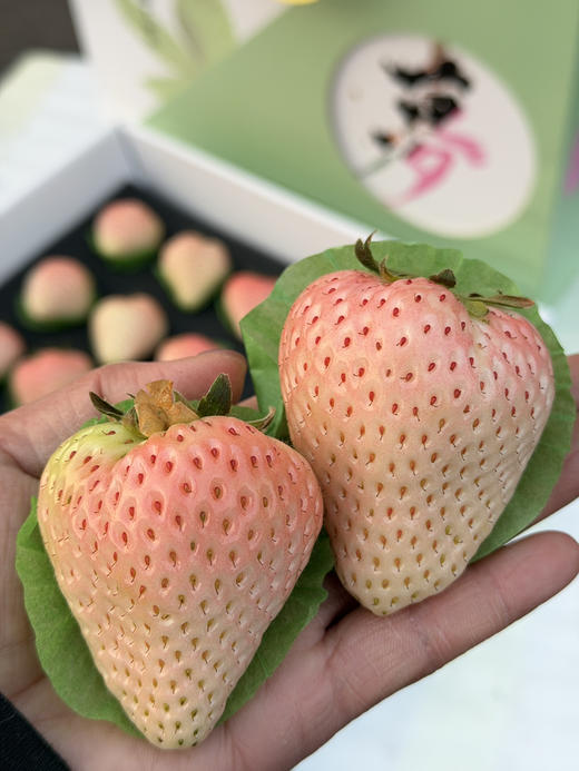 粉色妖姬大草莓 商品图1