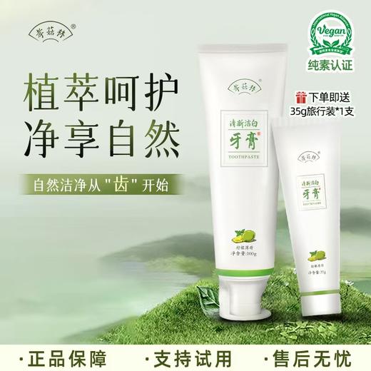 孝菇林清新洁白牙膏| 纯素洗护、泡沫绵密不辣口、温和清洁牙齿清新口气 商品图0