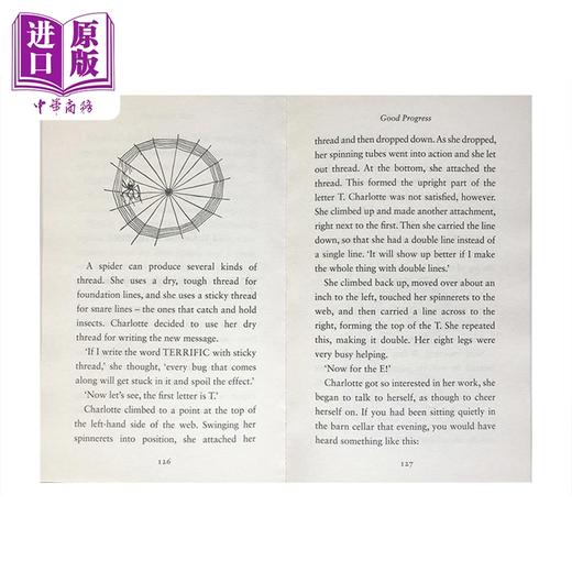 【中商原版】英文原版儿童文学读物 共3册 奇迹男孩（护眼版）+纽伯瑞夏洛的网（英国版）+纽伯瑞 洞 经典名著小说 进口书 商品图4