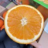赣南脐橙 商品缩略图2