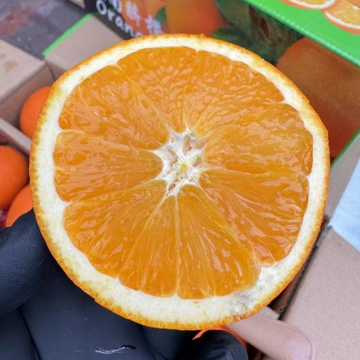 赣南脐橙 商品图2