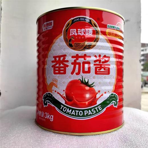 【ZCWJ】  湘辣赢  板面调料5kg  安徽牛肉板面  底料  香辣浓香酱料 板面调料【ZCWJ】  凤球唛  番茄酱3kg  大罐装  番茄沙司  商用  厨房  炒菜  调味酱 商品图2