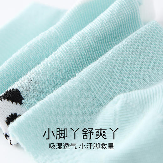 【专区任选2件49元】【实体店同款】男童短袜两双装春季新款安奈儿童装JB617208 商品图3