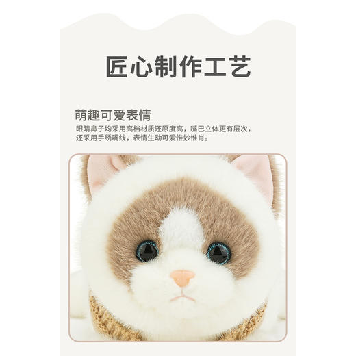 45CM暖暖猫毛绒公仔-纪念日百货门店同款169601881 商品图1