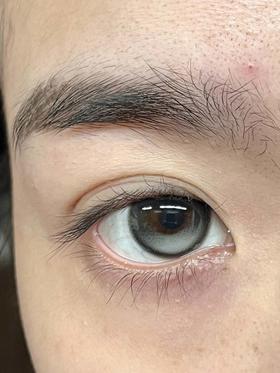 PupliPop 半年抛 海豚吹泡泡 直径14.5mm着色13.6mm （预计三月底到货）