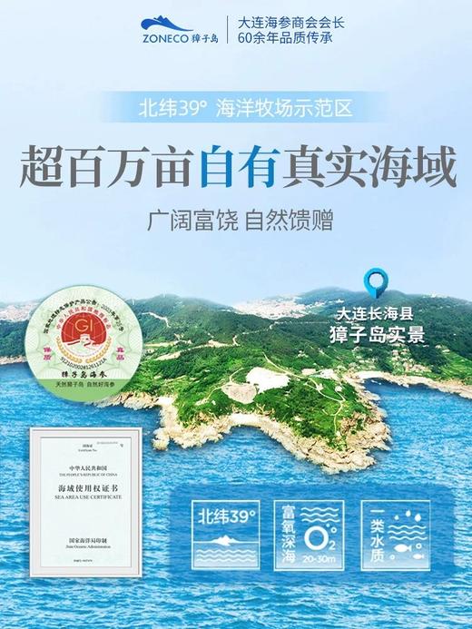 獐子岛大连底播有机海参干货辽刺参淡干海参御享200g 商品图2