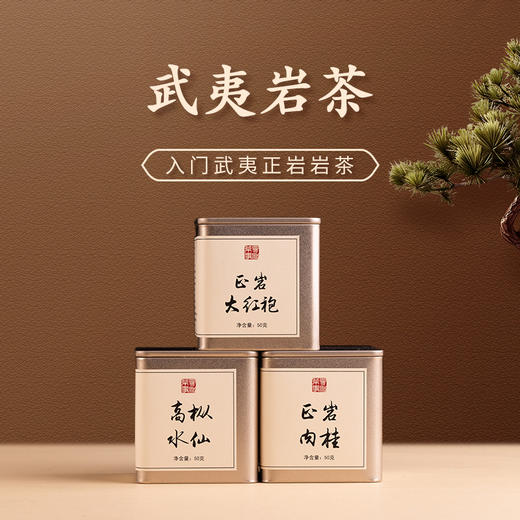 入门武夷正岩岩茶（小罐装） 商品图0