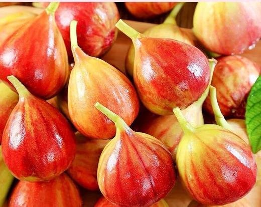 【软糯清甜❗️果肉绵密】四川云南无花果产地直发波姬红无花果新鲜水果无花果。jc 商品图2