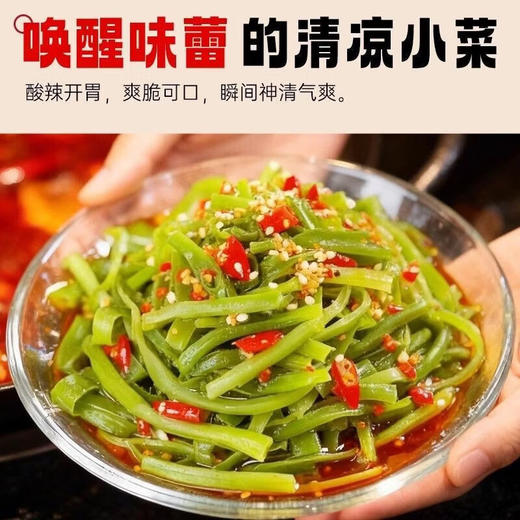 小龙坎 贡菜干 50g/袋 商品图2