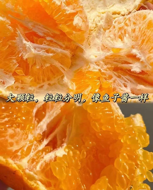 【包邮】四川眉山春见耙耙柑，鲜果采摘，自家果园，果肉细腻，汁水飞溅（售后联系VX：neigoupai004） 商品图1