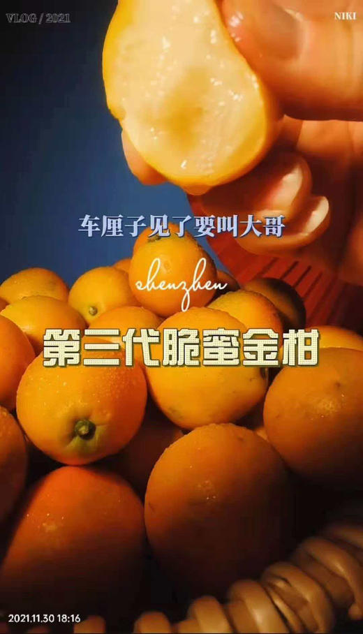 极蜜大龙珠，脆蜜金柑大大果 一箱25枚 商品图4