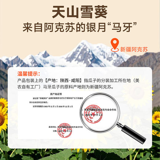 西域美农 马牙瓜子 商品图1