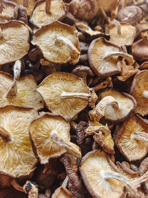 苍耕洱作野生香菇100g 商品图7