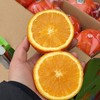 赣南脐橙 商品缩略图1