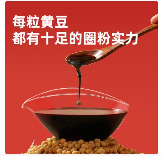 【YC】海天老抽王4.9L 商品图1