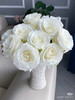 现货白色骄傲玫瑰一扎10支 支长50厘米，享受会员价 商品缩略图1