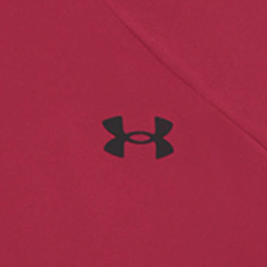 【五一尖货限时专享】
安德玛【马年新春系列】UA CNY男宽松运动休闲长袖T恤6014312-625 商品图4