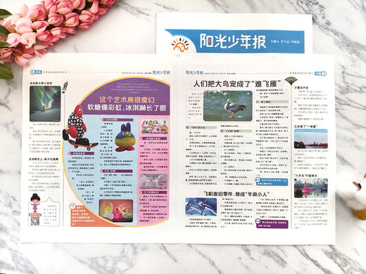 【送音频卡+记事本随机一册】阳光少年报小学版 1年共约42期  月月投（每月一发） 商品图3
