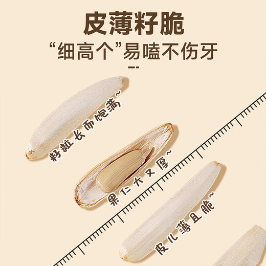 西域美农 马牙瓜子 商品图3