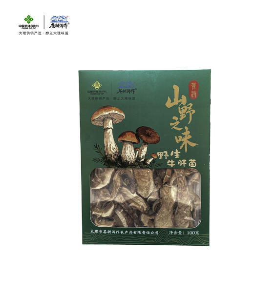 苍耕洱作美味牛肝菌100g 商品图0