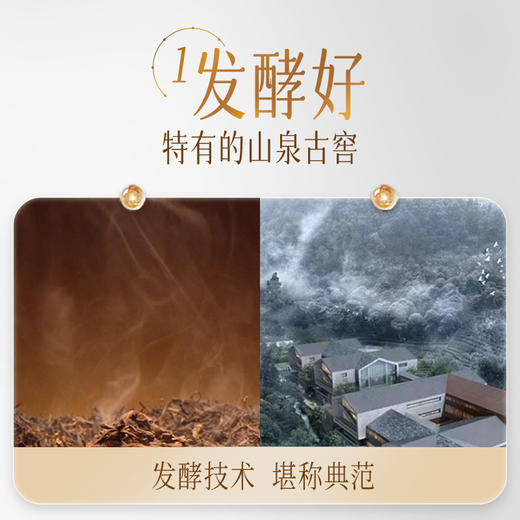 澜沧古茶2024年古醇·甜雅名山古树熟茶散茶40g 商品图1