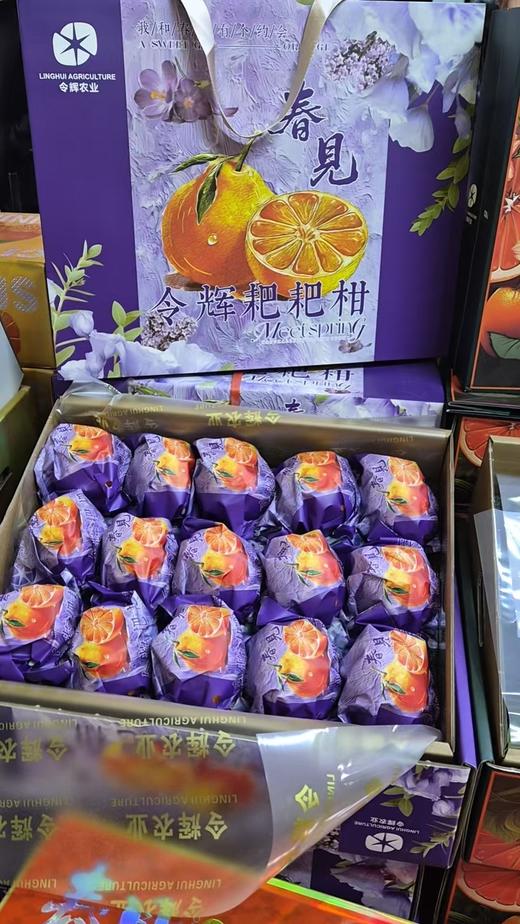 春见耙耙柑【礼盒】新装 商品图0