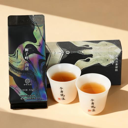 岩茶礼盒（乾坤款）狮子峰·肉桂（8.5克*3）+生态白鸡冠（8.5克*3）【护佑】 商品图1