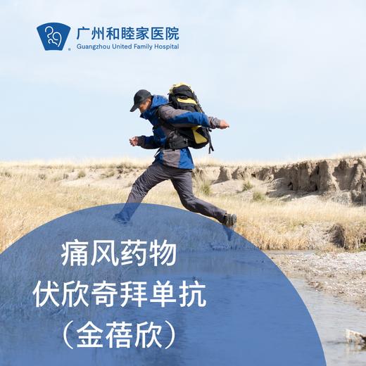 痛风药物伏欣奇拜单抗（金蓓欣/港澳药械通/新药）_内科吴一行医生专属门诊 商品图0