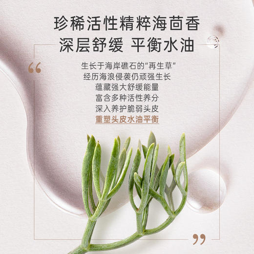 【高奢养护洗发露】油性、干性发质按需选择 控油水润 舒缓头皮问题 舒缓轻盈/保湿洗发露（300ml） 商品图2