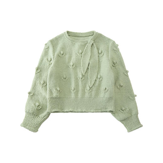 苏苏姐家飘带领小衫手工diy衣服毛线团棒针羊毛线毛衣材料包 商品图3